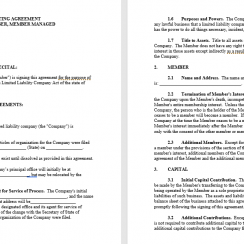 single member llc operating agreement template