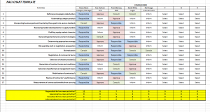 raci chart