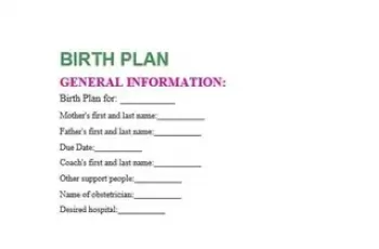 Free Birth Plan Template Editable