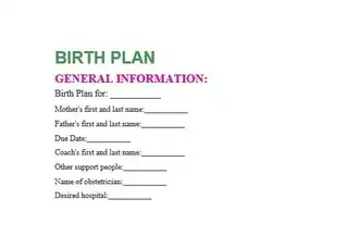 Birth Plan Template Editable