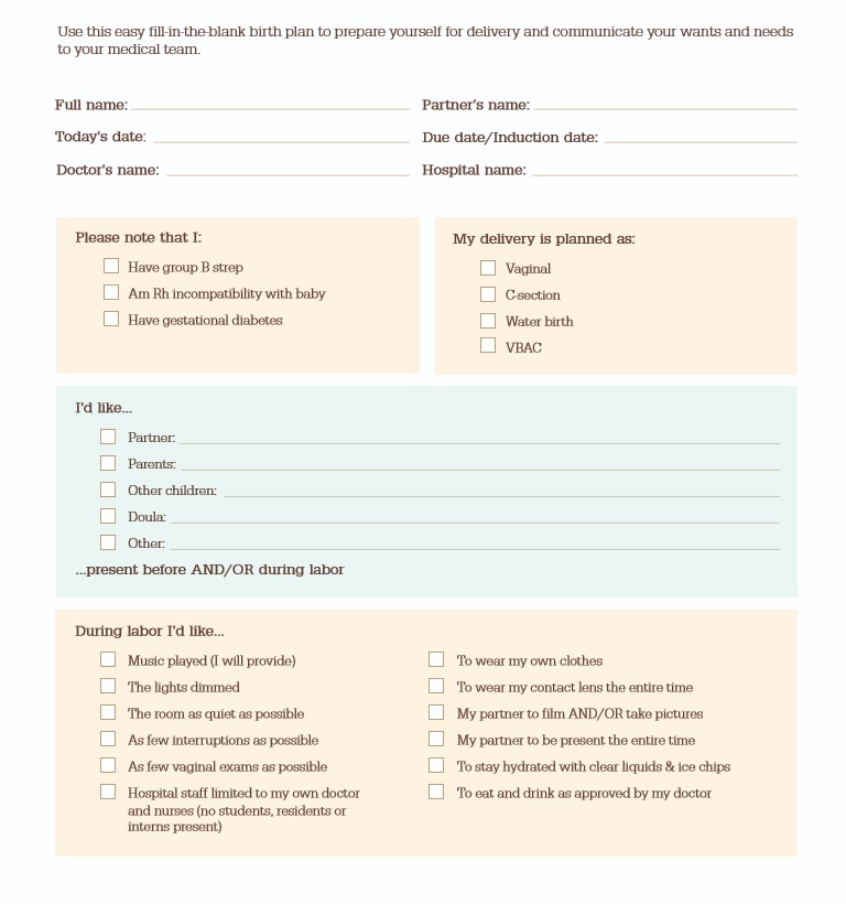 Birth Plan Template PDF