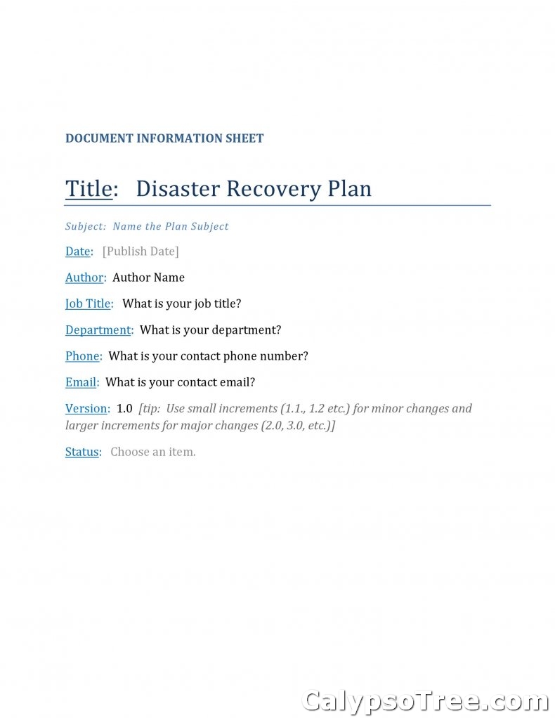 Disaster Recovery Plan Template 03