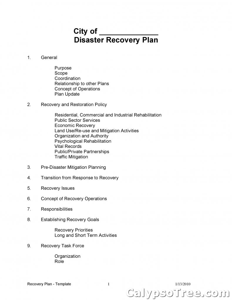 Disaster Recovery Plan Template 13