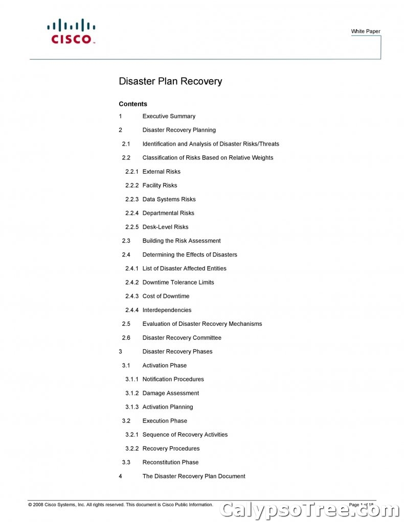 Disaster Recovery Plan Template 17
