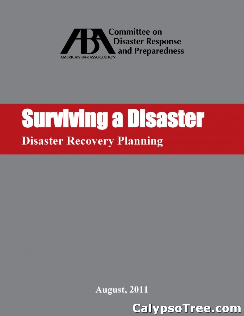 Disaster Recovery Plan Template 23