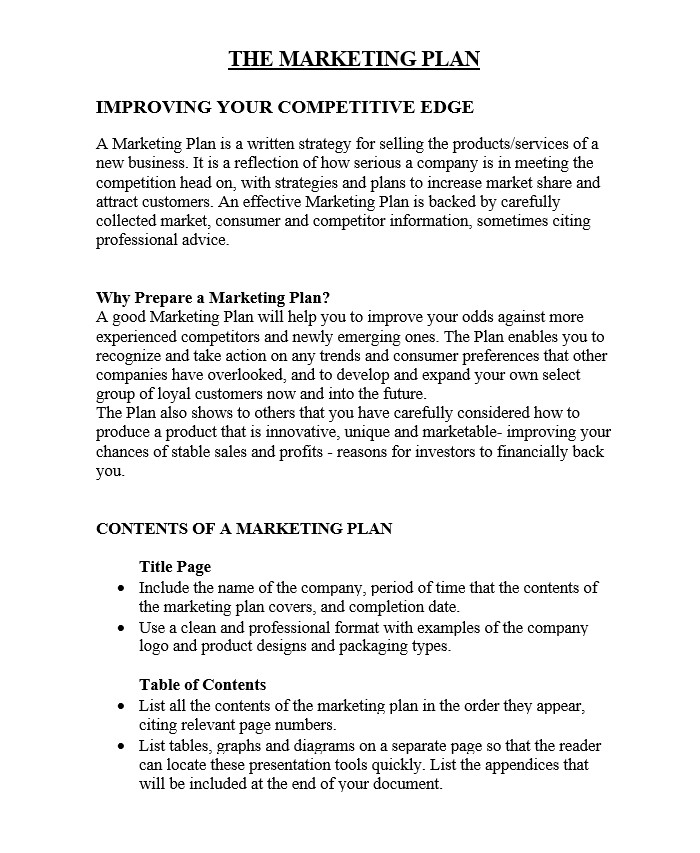 Marketing Plan Template PDF - Marketing Plan Template Examples