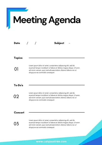Professional Meeting Agenda Templates 07