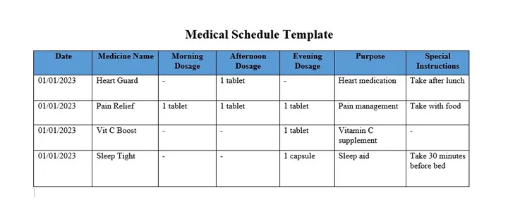 medication schedule template word