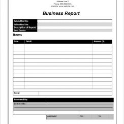 Business Report (20 Free Sample & Template)