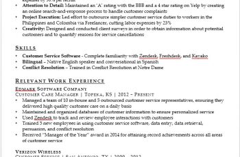 Elements On Customer Service Resume (15 Free Example & Template)