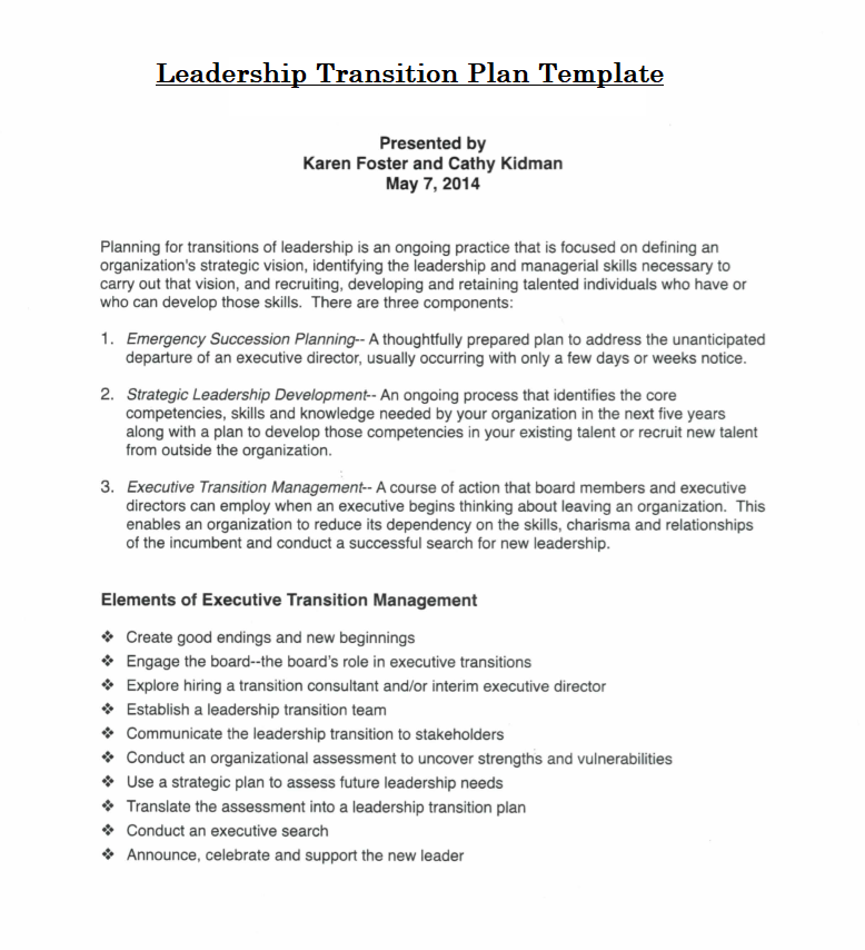 Leadership Transition Plan Template