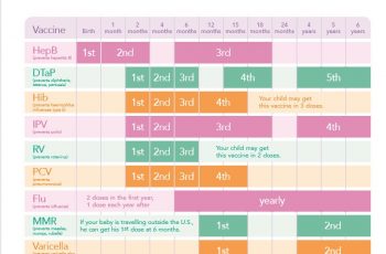 Vaccination Schedule (20 Template & Amazing Example)