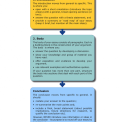 15 Amazing Essay Outline Template