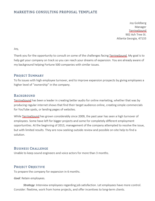 marketing consulting proposal template