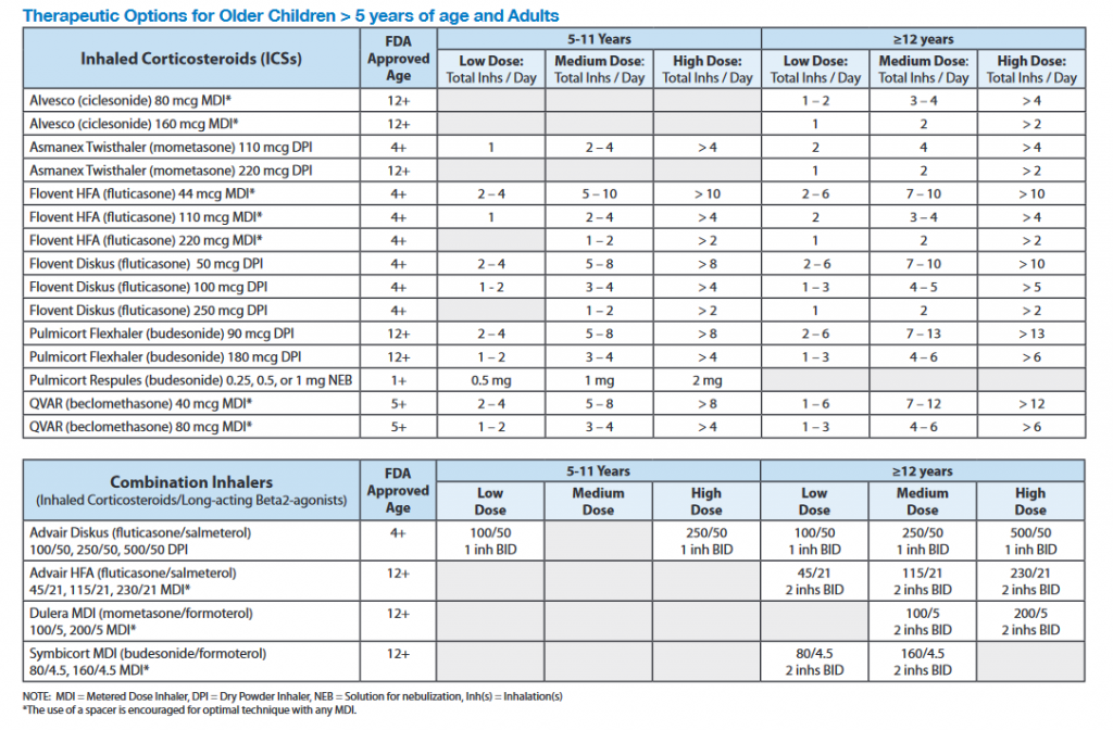 Medication Chart PDF - Medication Schedule Template