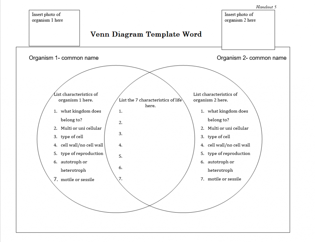 venn diagram template word venn diagram template word