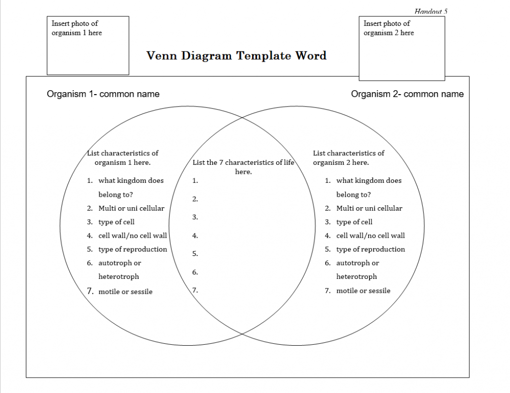 venn diagram template word