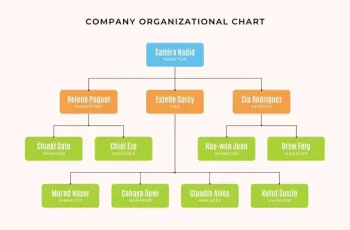 Organizational Chart Template (Word, PowerPoint, Google Docs)