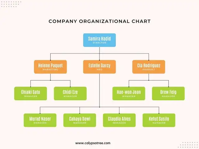 Company Organizational Chart Template