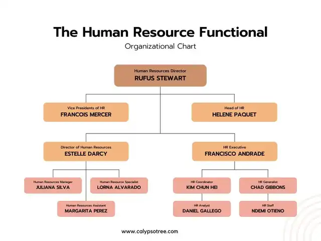 Human Resource Organizational Chart Template
