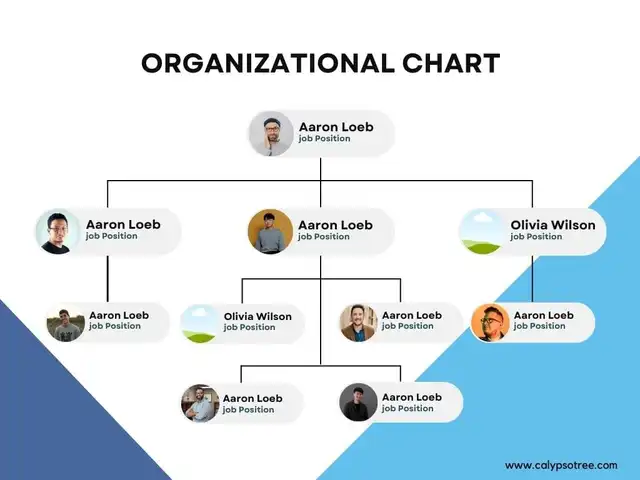 Organizational Chart Template Word