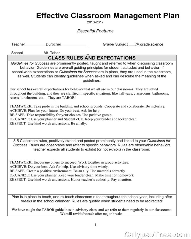 40+ Best Classroom Management Plan Template For Teaching And Learning ...