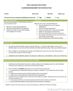 40+ Best Classroom Management Plan Template For Teaching And Learning ...