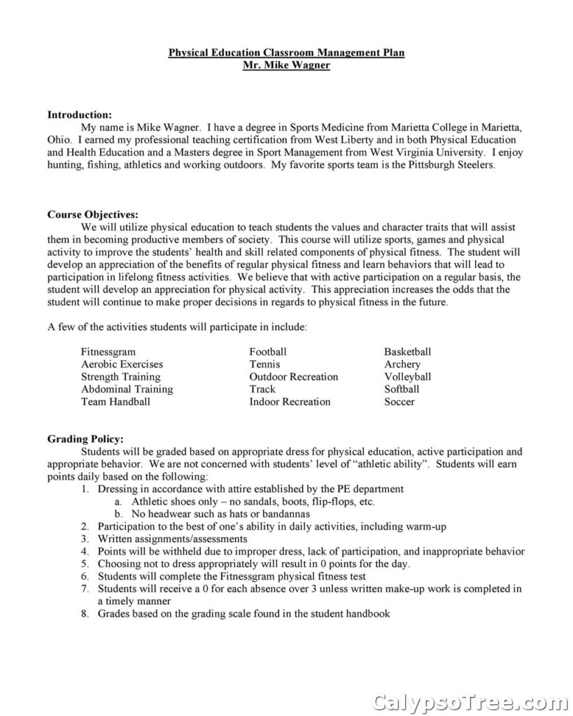 40+ Best Classroom Management Plan Template For Teaching And Learning ...