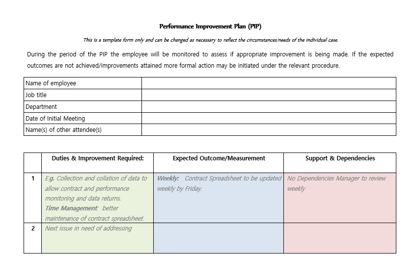 Performance Improvement Plan Sample