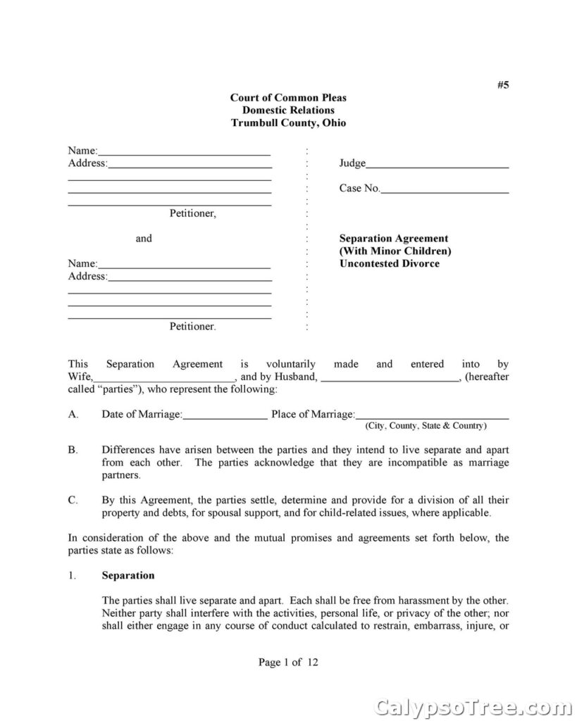 Separation Agreement Template 03