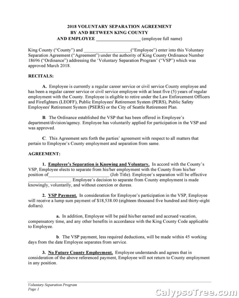 Separation Agreement Template 06