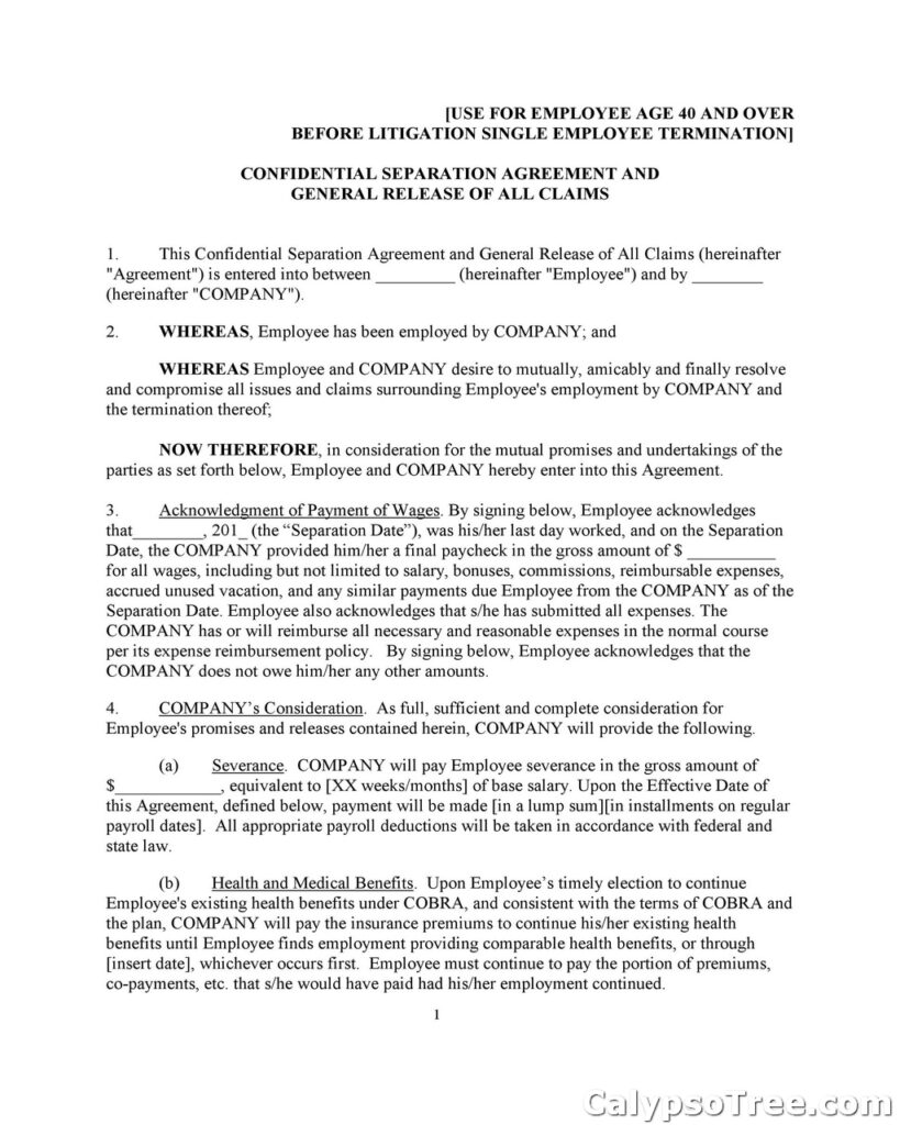 Separation Agreement Template 10
