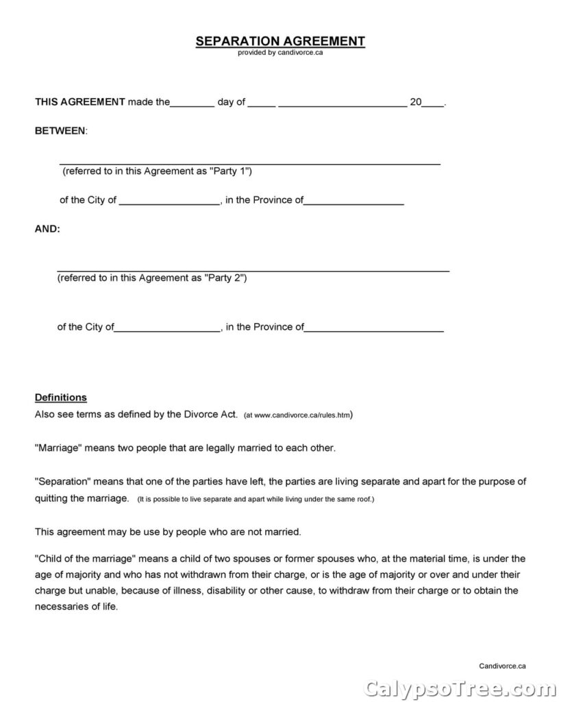 Separation Agreement Template 19