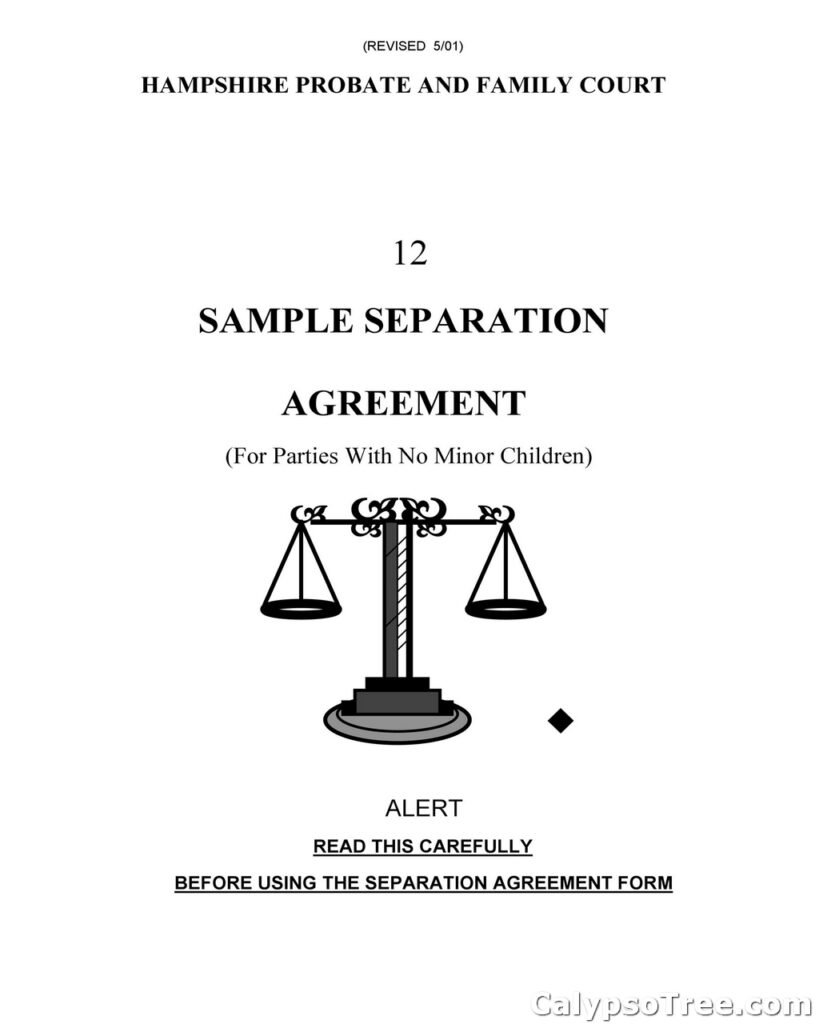 Separation Agreement Template 25