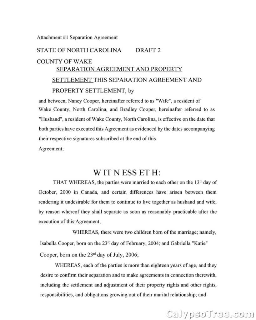 Separation Agreement Template 37
