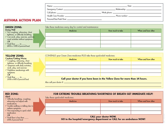 action plan template excel