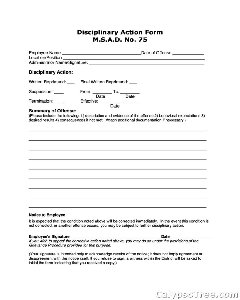 employee write up form example 04