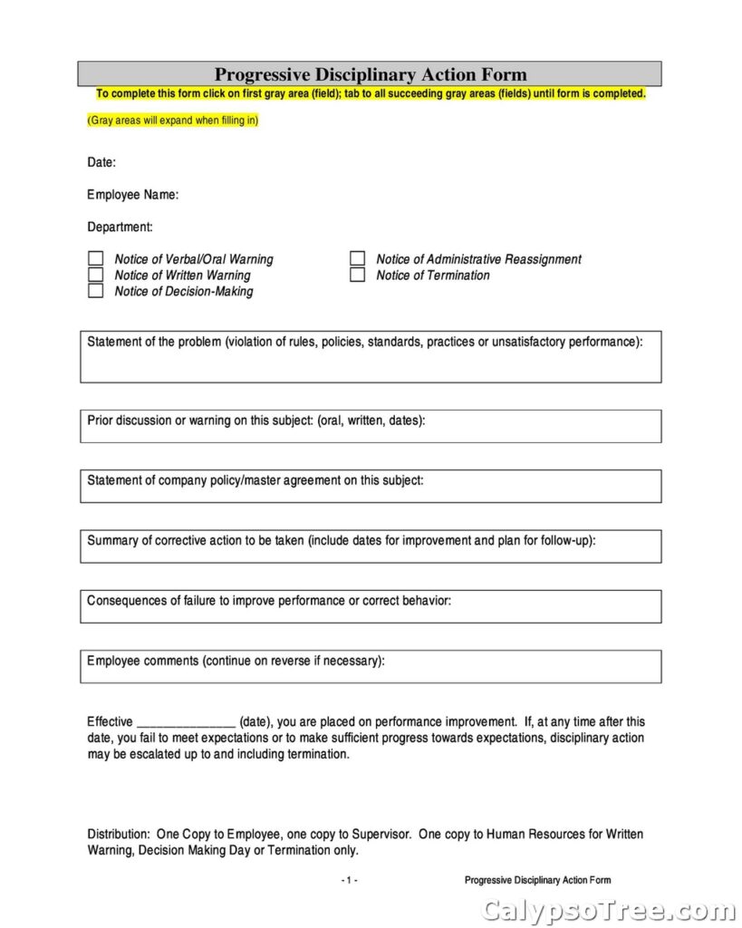 employee write up form example 07