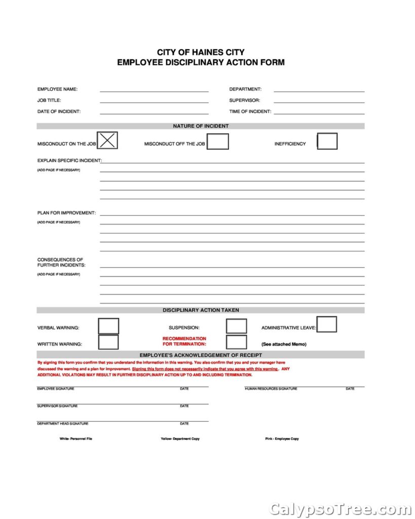 employee write up form example 08