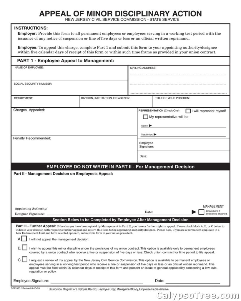 employee write up form example 10