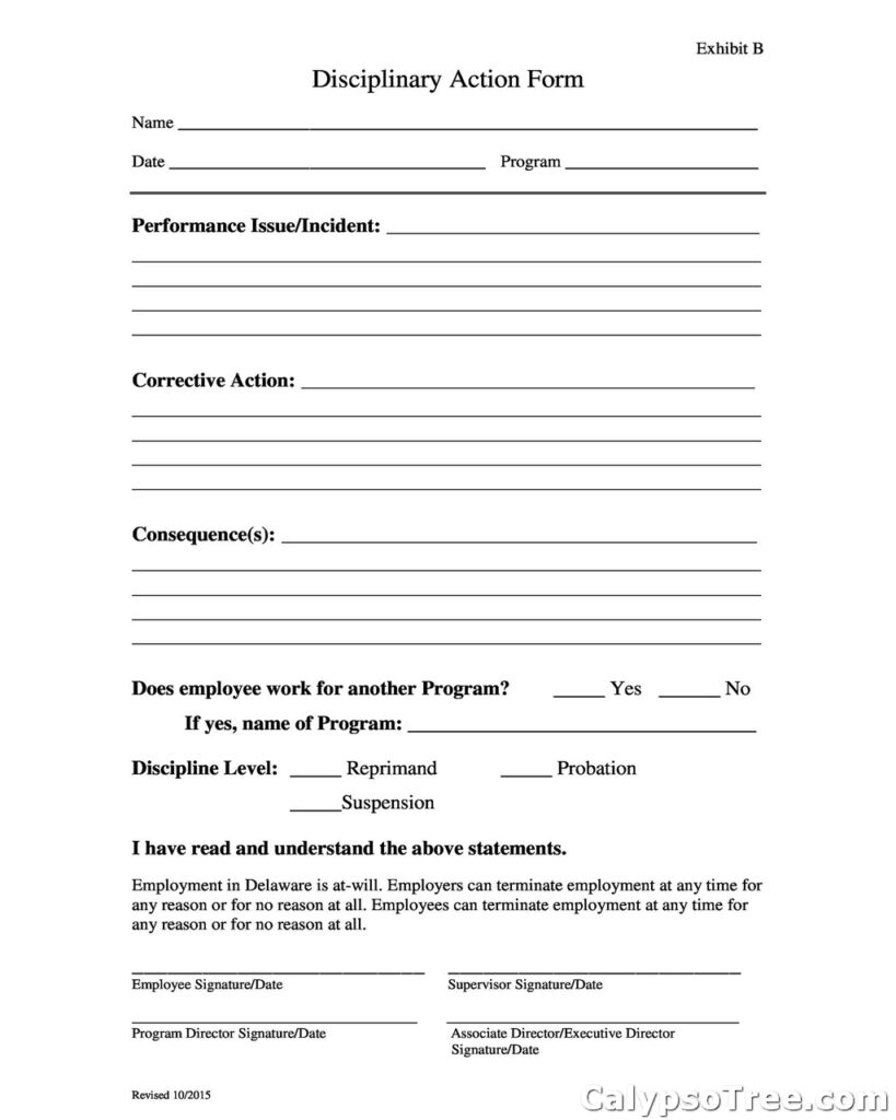 employee write up form example 11