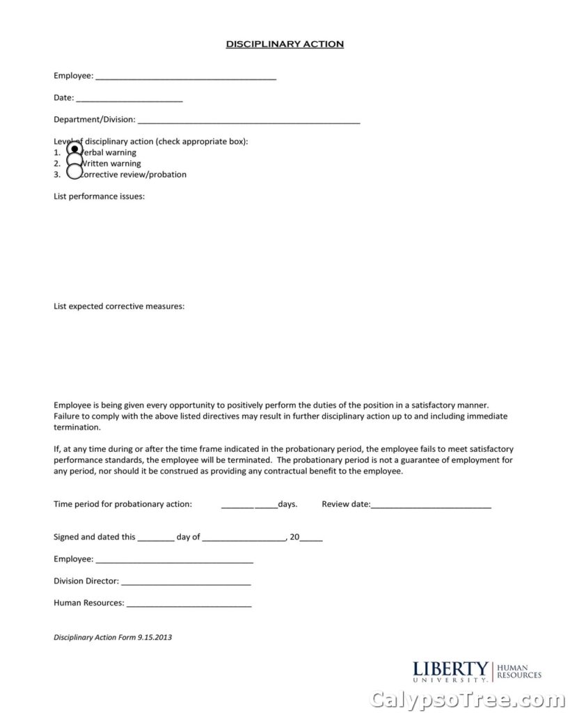 employee write up form sample 03