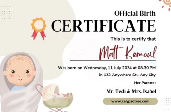 23 Free Birth Certificate Templates (PDF, PPT, &Word)