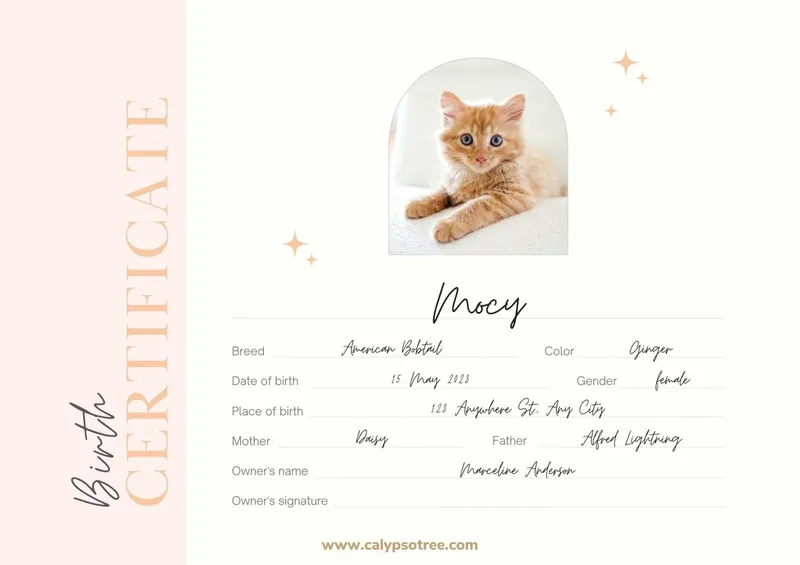 Cat Birth Certificate Templates