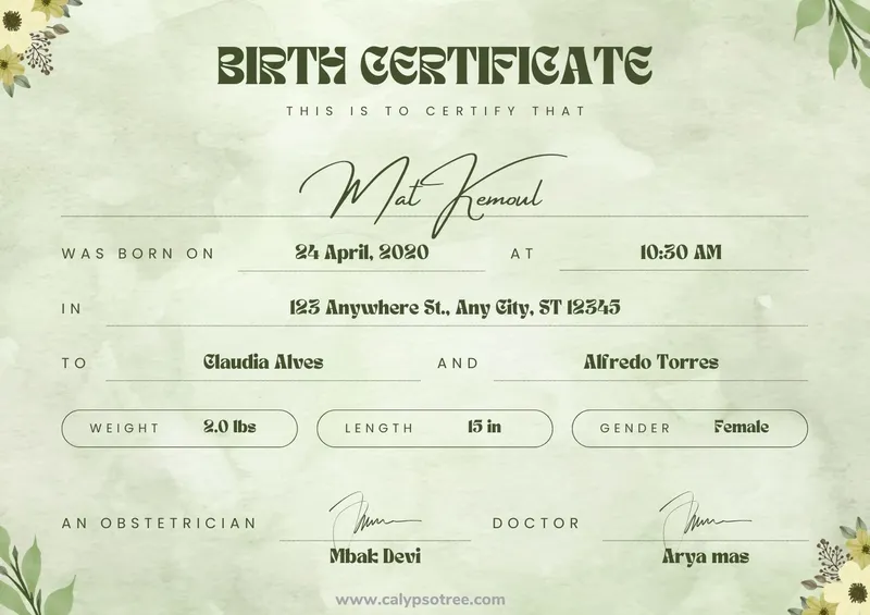 Customizable Birth Certificate Templates