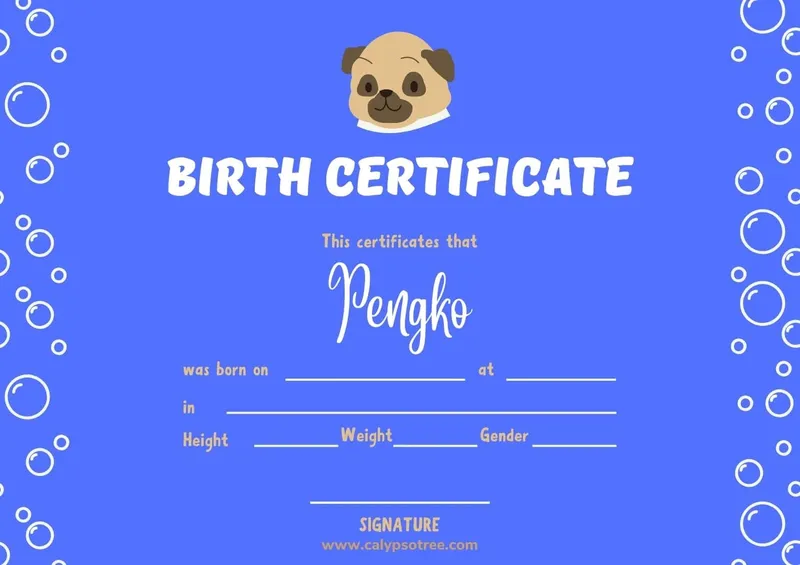 Pet Birth Certificate Templates