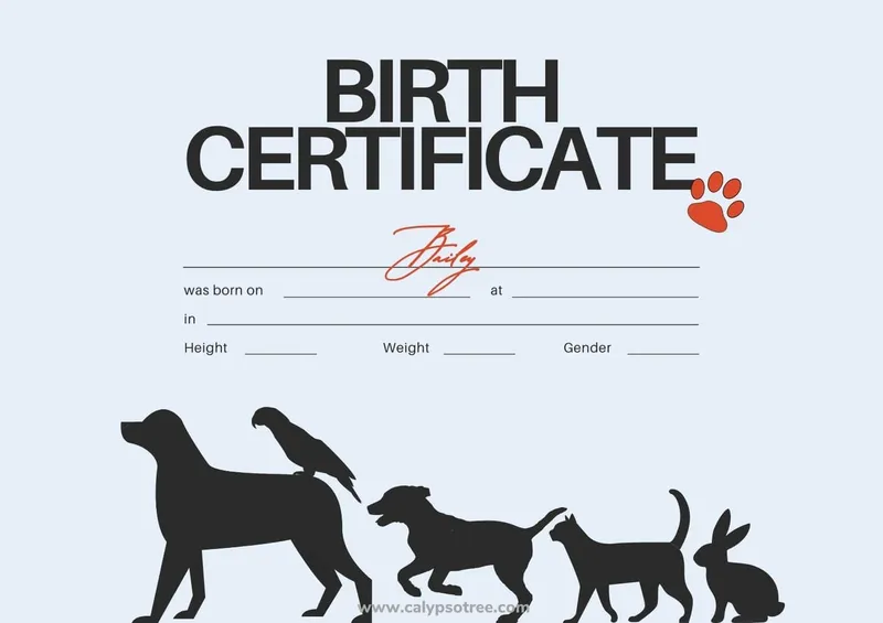Twin or Multiple Birth Certificate Templates