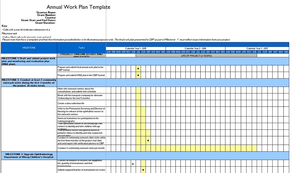 annual work plan template