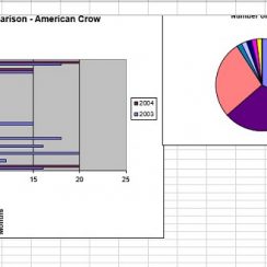 bar graphs worksheets