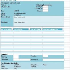 10 Amazing Bill Of Lading (free Template & Example)